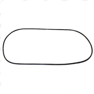 Picture of O-Ring