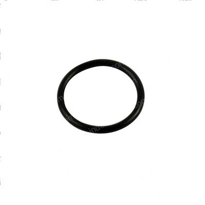 Picture of O-Ring