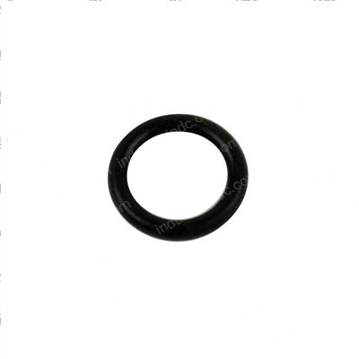 Picture of O-Ring