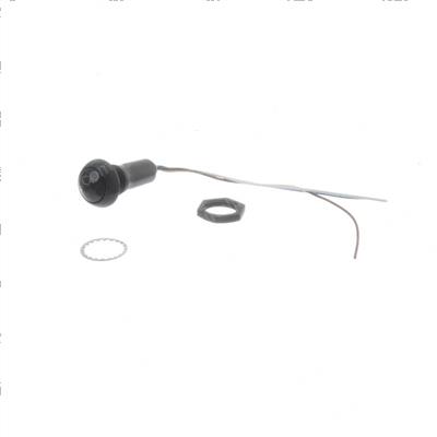 Picture of Switch - Key Transmitter
