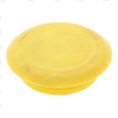 Picture of Plug