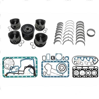 Picture of Rebuild Kit, Kubota Eng V1702