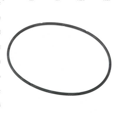 Picture of Ring, Back-Up