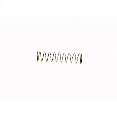Picture of Spring - Injector