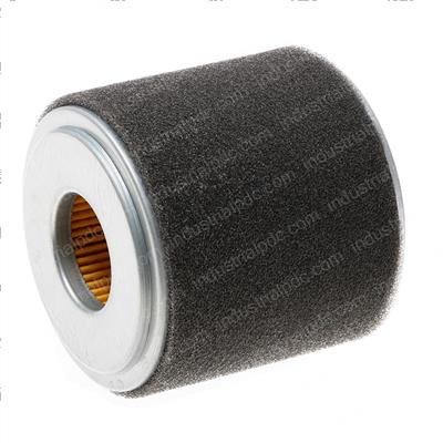 Picture of Element Air Cleaner