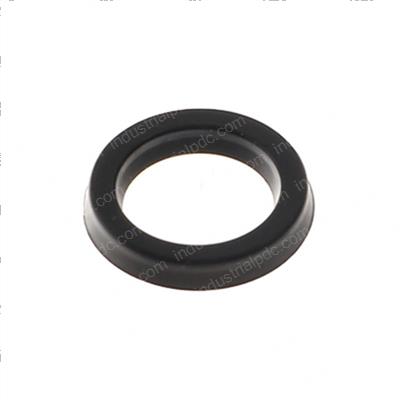 Picture of Seal - Special