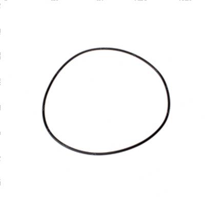 Picture of O-Ring
