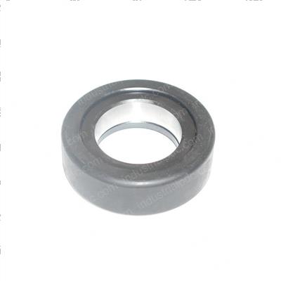 Picture of Bearing - Mast Roller