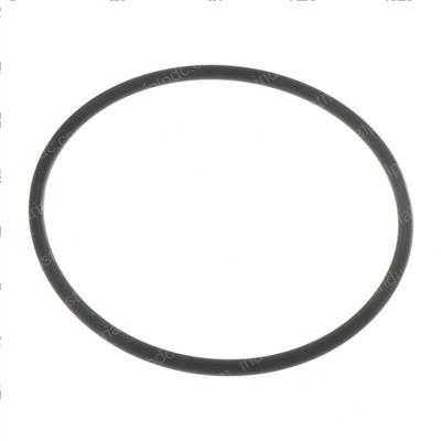 Picture of O-Ring