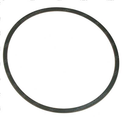 Picture of O-Ring
