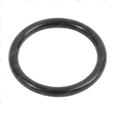 Picture of O-Ring
