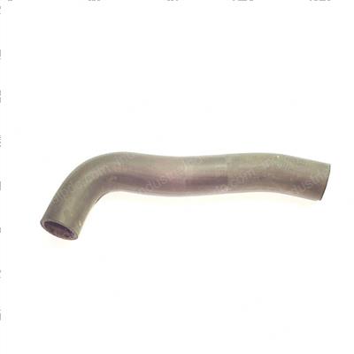 Picture of Hose - Radiator