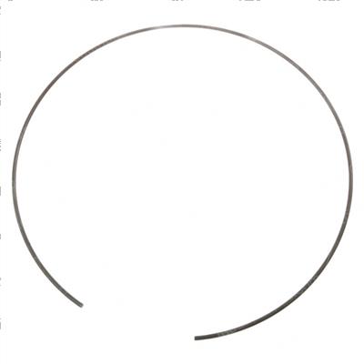 Picture of Ring - Int Retaining