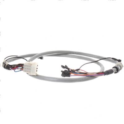 Picture of Harness
