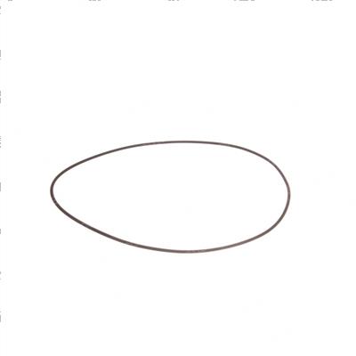 Picture of O-Ring