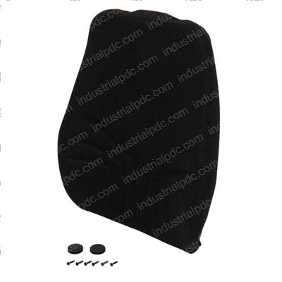 Picture of Cushion Bkrest