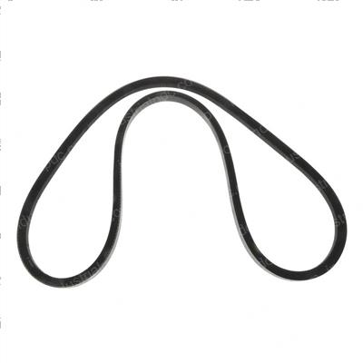 Picture of Fan Belt