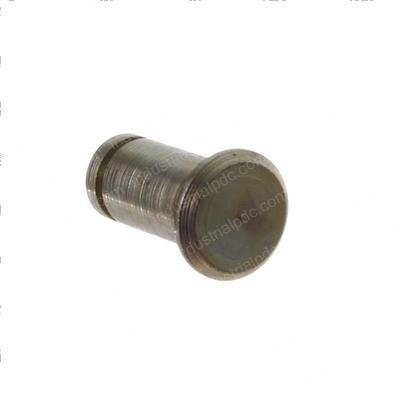 Picture of Pin - Level