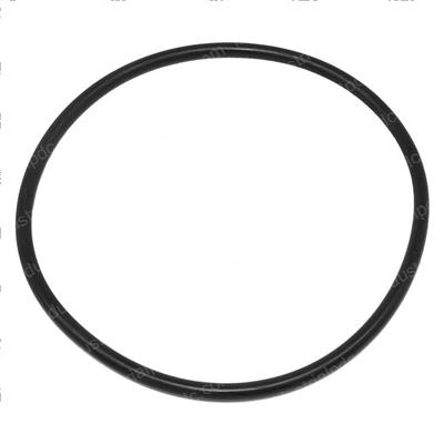 Picture of Oring 125x5-3nbr50