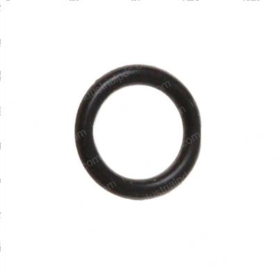 Picture of O-Ring