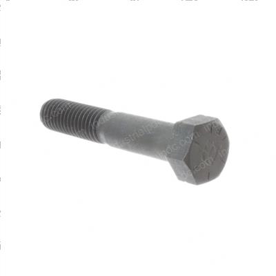 Picture of Bolt