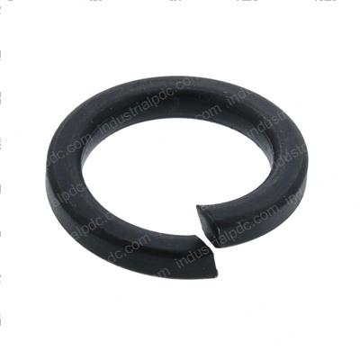 Picture of Spring Washer