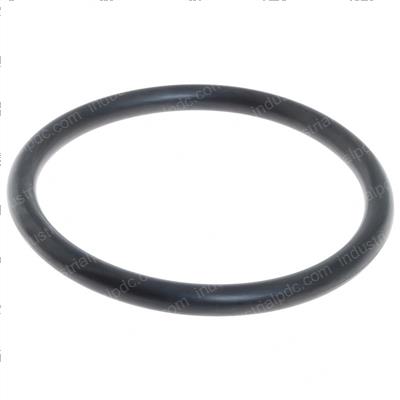 Picture of O-Ring