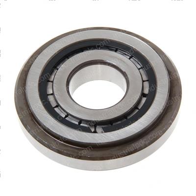 Picture of Bearing Roller