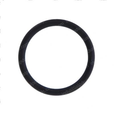 Picture of O-Ring