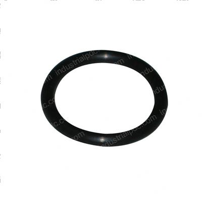 Picture of O-Ring