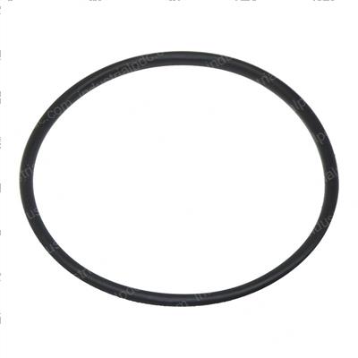 Picture of O Ring