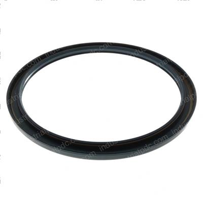 Picture of Seal Ring J013838