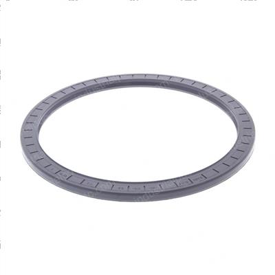 Picture of Seal - Oil