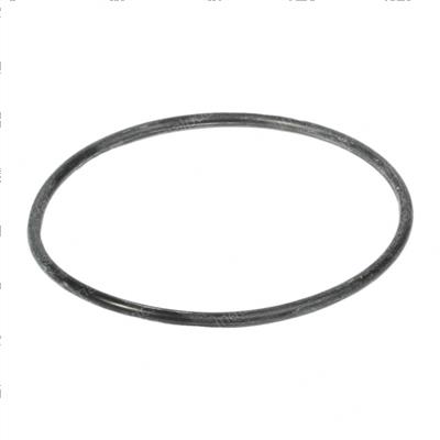Picture of O-Ring