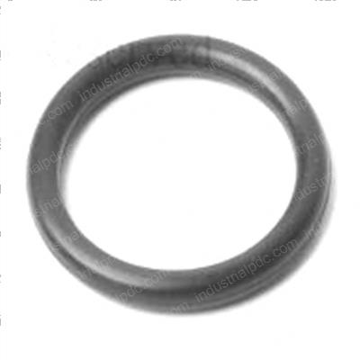 Picture of O-Ring
