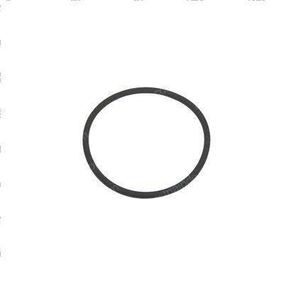 Picture of O-Ring