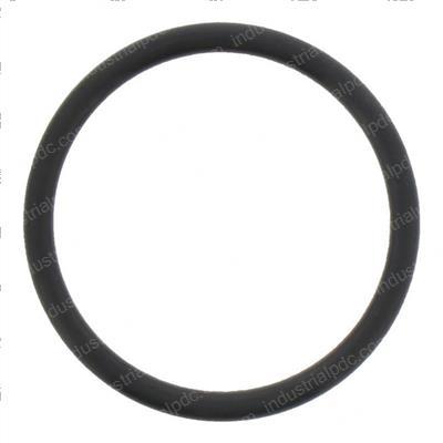 Picture of O-Ring