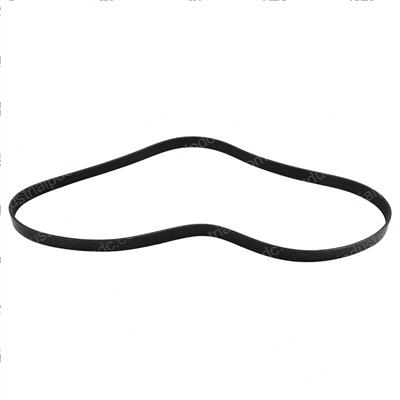 Picture of Belt