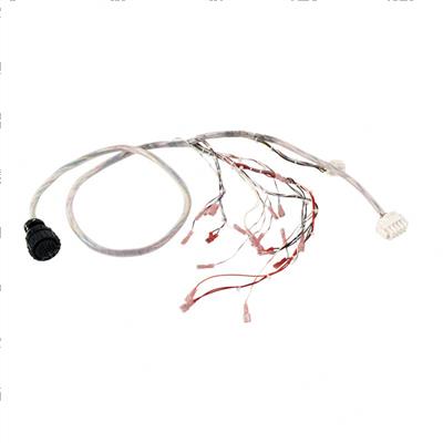 Picture of Harness