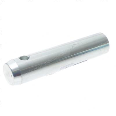 Picture of Pin/Rear Arm Pivot