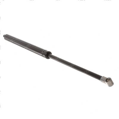 Picture of Spring Gas Pressure