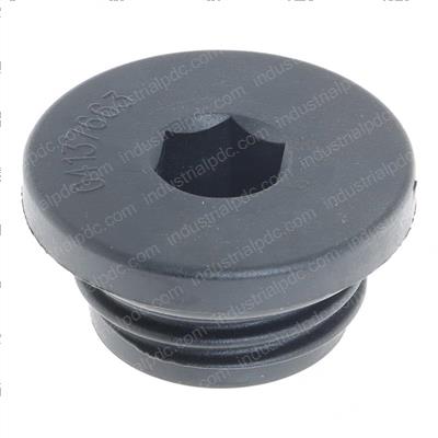 Picture of Plug/Screw