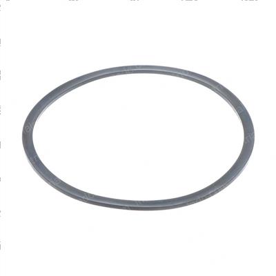 Picture of Seal