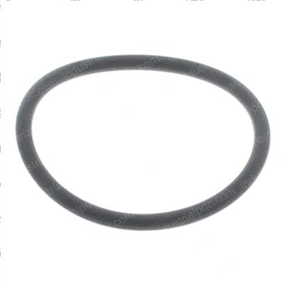 Picture of O-Ring