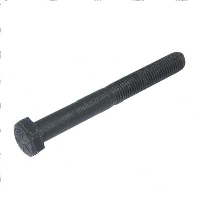 Picture of Bolt