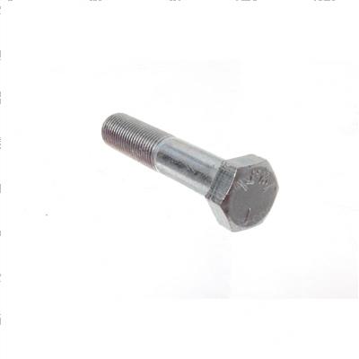 Picture of Bolt