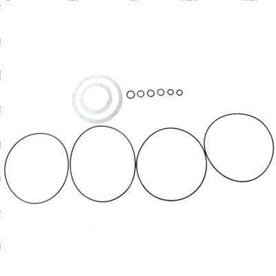 Picture of Seal Kit Rear Motor