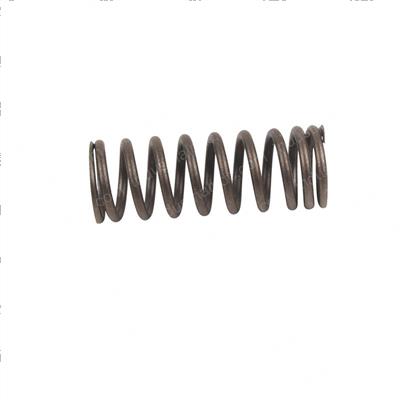 Picture of Spring - Intake Valve