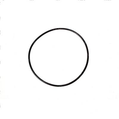 Picture of O-Ring