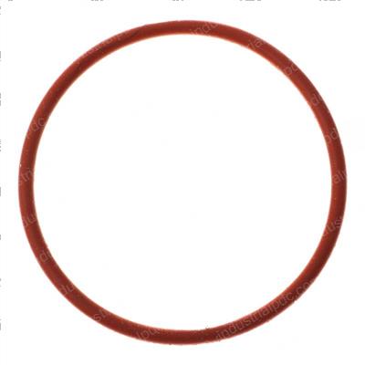 Picture of O-Ring